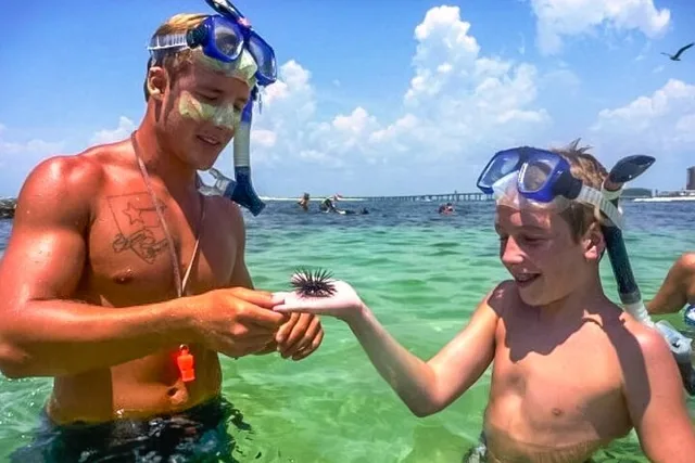 Destin Snorkeling and Shelling Excursion - Image 2