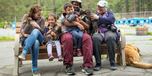 Seward Dog Sled Ride and Kennel Tour - Image 2