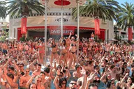 Las Vegas Pool Party Tour with Party Bus thumbnail 1
