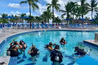 Key Largo Scuba Diving Trip thumbnail 4