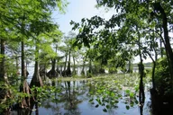Lake Norris Kayak Tour 3 hr thumbnail 1