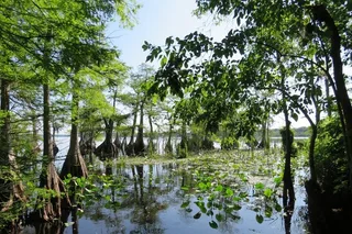 Lake Norris Kayak Tour 3 hr