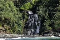 Hilo Hamakua Coast Waterfall Cruise 2 hr thumbnail 5