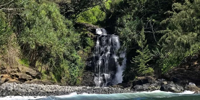Hilo Hamakua Coast Waterfall Cruise 2 hr - Image 5