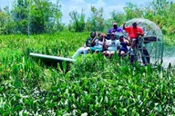 New Orleans Airboat Swamp Tour thumbnail 2