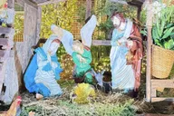 New York Dyker Heights Christmas Lights Tour 4 hr thumbnail 3