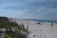 Cayo Costa Shelling Adventure thumbnail 3