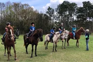 Lake Louisa Horseback Ride thumbnail 4