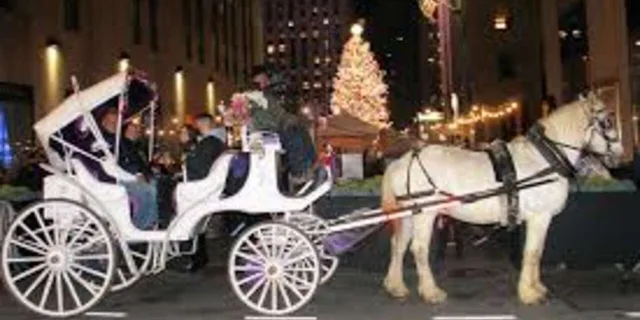 New York Central Park Christmas Lights Carriage Ride 45 min - Image 4