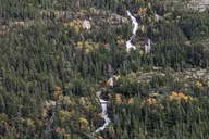 Skagway City & White Pass Summit Tour thumbnail 5