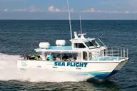 Naples Deep Sea Fishing 6 Hour thumbnail 1