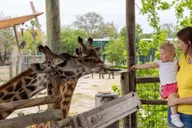 Tampa Zoo Admission Ticket thumbnail 1