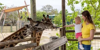 Tampa Zoo Admission Ticket