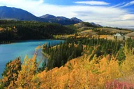 Skagway Yukon Dog Sledding and Sightseeing Tour thumbnail 1