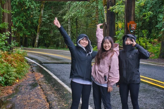Seattle Mt. Rainier Private Tour - Image 4