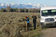 Jackson Hole Sunrise Tour in Grand Teton National Park thumbnail 3