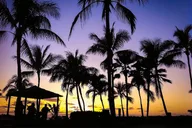 Oahu Walking Tour with Local Guide thumbnail 4