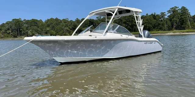Hilton Head Private Dolphin Cruise 2 hr - Image 5