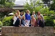 Napa & Sonoma Private Tesla Tour thumbnail 4