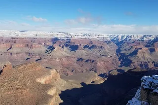 Williams Grand Canyon Tour