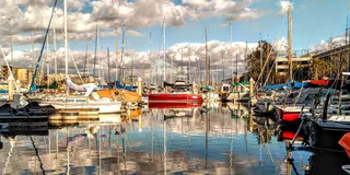 Marina del Rey Wine Cruise with Optional Dinner