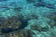 Stateline Clear Kayak Adventure thumbnail 3