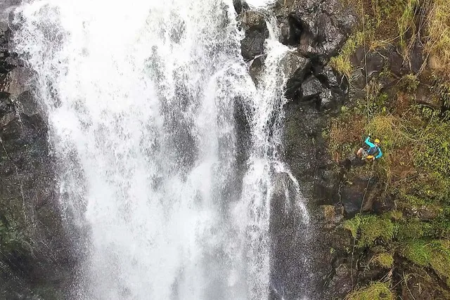 Hilo Waterfall Rappelling at Kulaniapia Falls - Image 2