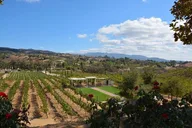 Temecula Wine Tour from Orange County thumbnail 6