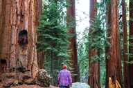 San Francisco Yosemite & Tahoe 4-Day Tour thumbnail 2