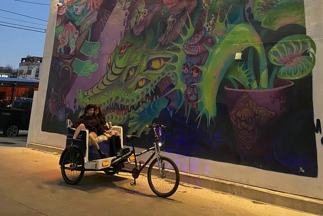 Austin Mural and Instagram Pedicab Tour - Image 6