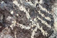 Sedona Archeology and Nature Hike thumbnail 3