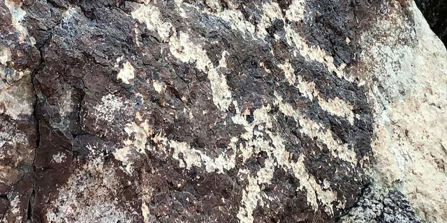 Sedona Archeology and Nature Hike - Image 3