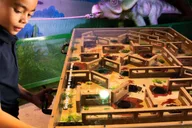 Las Vegas Dinosaur Outpost Admission thumbnail 6