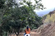 Santa Barbara Horseback Riding and Wine Tasting Tour thumbnail 1