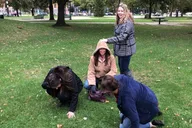Albany Scavenger Hunt by Zombie Scavengers thumbnail 6