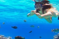 Ka'anapali Beach Snorkel and Turtle Spotting 3.5 hr thumbnail 3