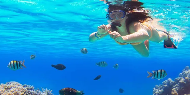 Ka'anapali Beach Snorkel and Turtle Spotting 3.5 hr - Image 3