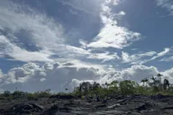 Hilo Kilauea Fissure 8 Hiking Tour thumbnail 4