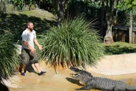 Miami Everglades Private Tour 4 hr thumbnail 4