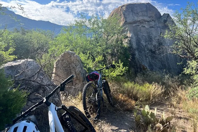 Tucson Mountain Bike Rental - Image 6