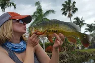 Boynton Beach Peacock Bass Fishing Trip thumbnail 1