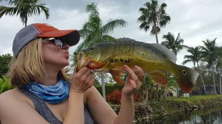Boynton Beach Peacock Bass Fishing Trip