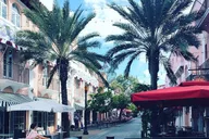 Miami South Beach Sightseeing Tour thumbnail 4