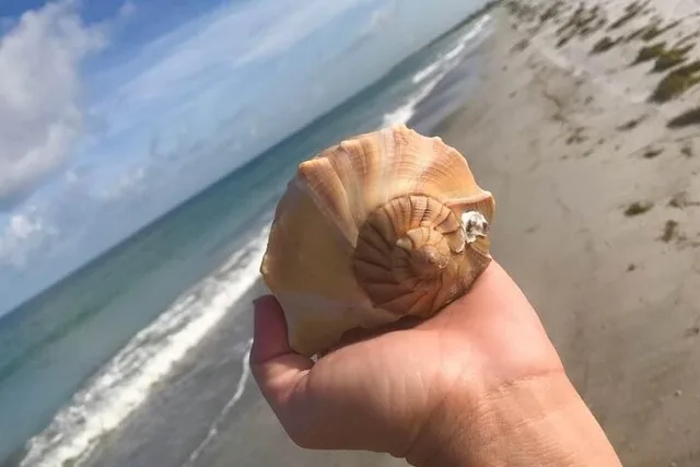 St. Petersburg Shell Key Island Adventure - Image 3