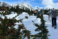 Anchorage Snowshoeing Adventure in Glen Alps 3 hr thumbnail 5