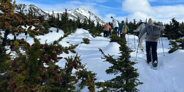 Anchorage Snowshoeing Adventure in Glen Alps 3 hr - Image 5