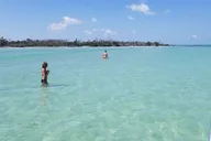 Florida Keys Boat Excursion with Snorkeling thumbnail 1