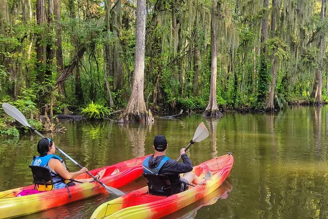 Tavares Wildlife Kayak Tour on Dora Canal - Image 2