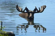 Anchorage to Whittier Private Cruise Transfer thumbnail 5