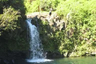 Maui Road to Hana Rainforest and Waterfall Tour thumbnail 4